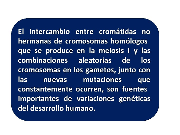 El intercambio entre cromátidas no hermanas de cromosomas homólogos que se produce en la