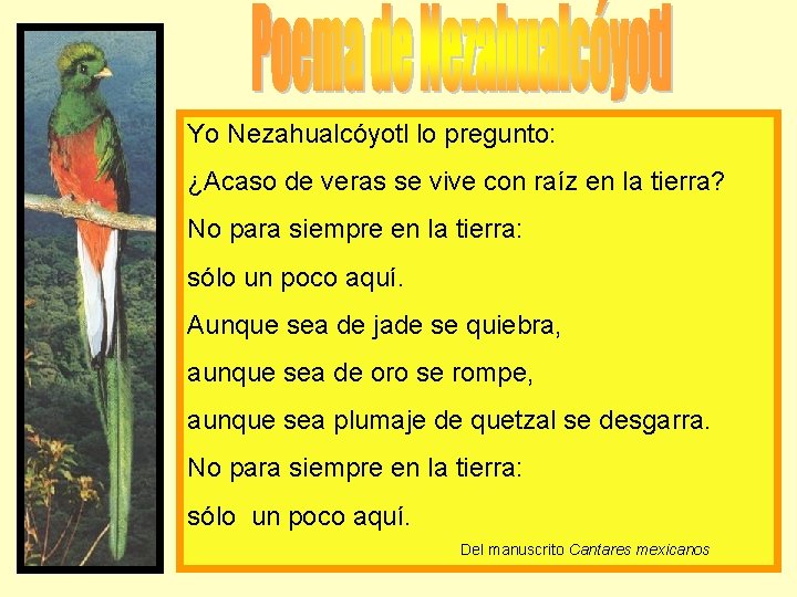 Yo Nezahualcóyotl lo pregunto: ¿Acaso de veras se vive con raíz en la tierra?