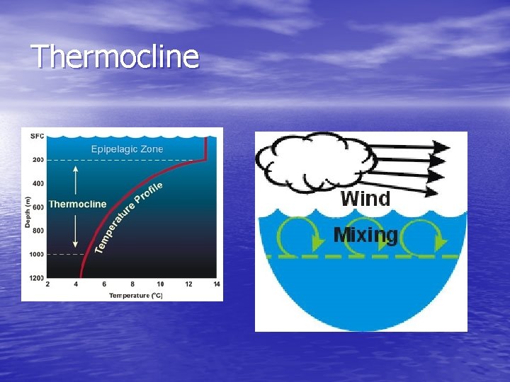 Thermocline 