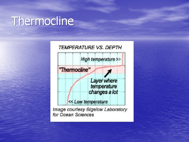 Thermocline 