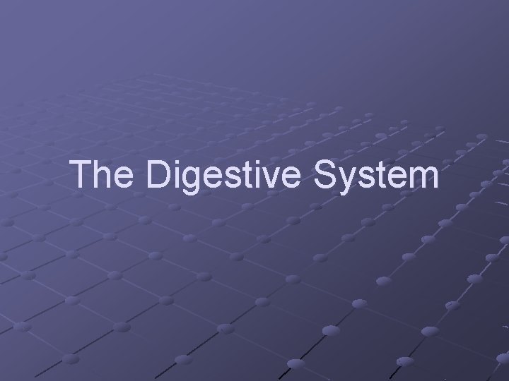 The Digestive System The Digestive System