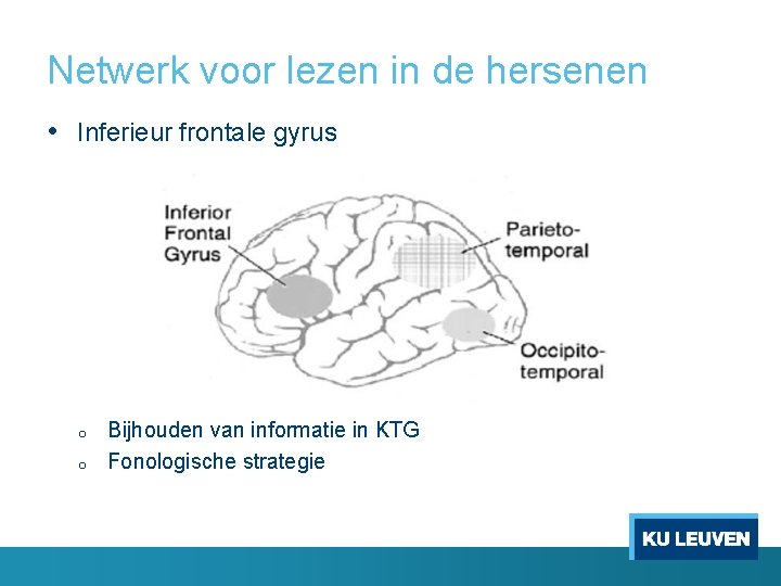 Netwerk voor lezen in de hersenen • Inferieur frontale gyrus o o Bijhouden van