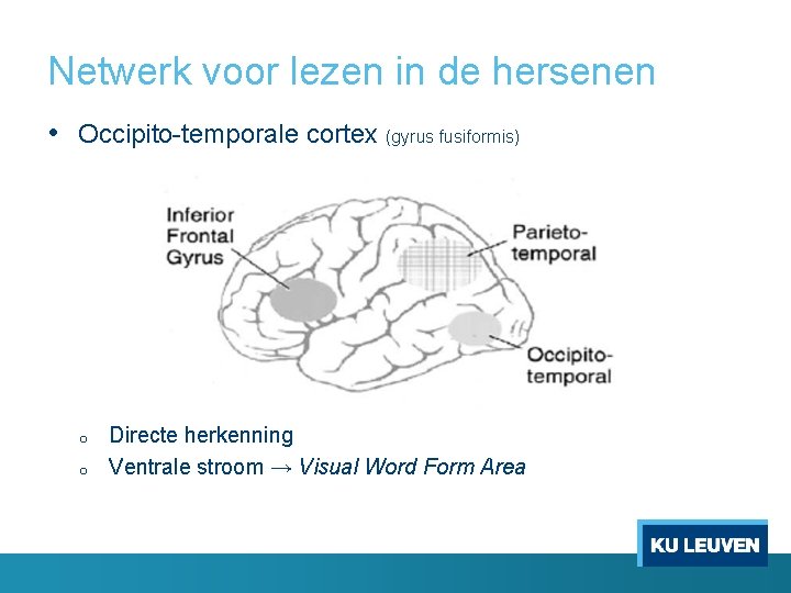 Netwerk voor lezen in de hersenen • Occipito-temporale cortex (gyrus fusiformis) o o Directe