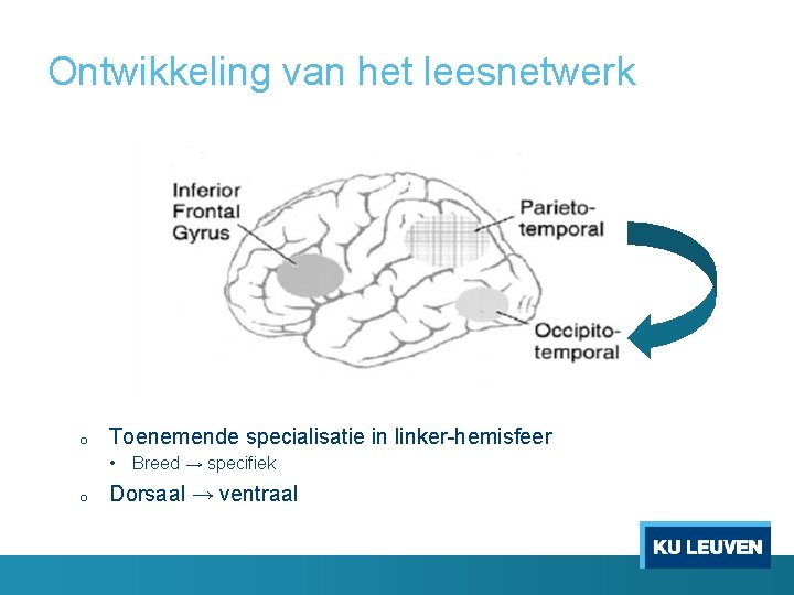 Ontwikkeling van het leesnetwerk o Toenemende specialisatie in linker-hemisfeer • Breed → specifiek o
