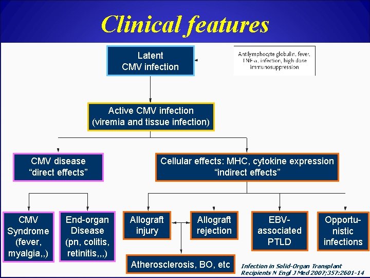 Clinical features Latent CMV infection Active CMV infection (viremia and tissue infection) CMV disease