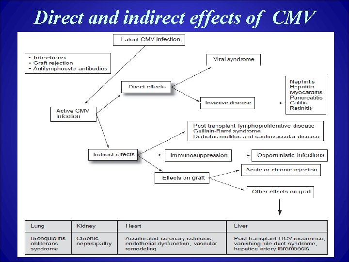 Direct and indirect effects of CMV 
