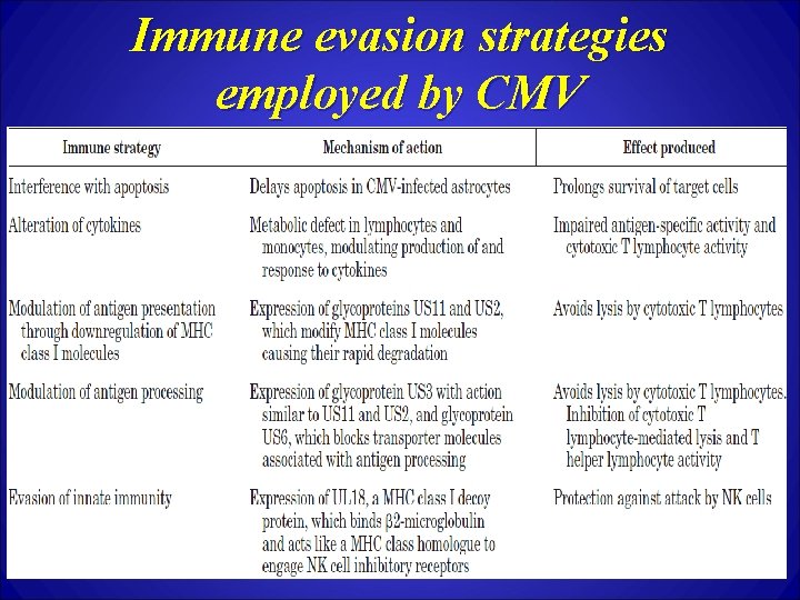 Immune evasion strategies employed by CMV 