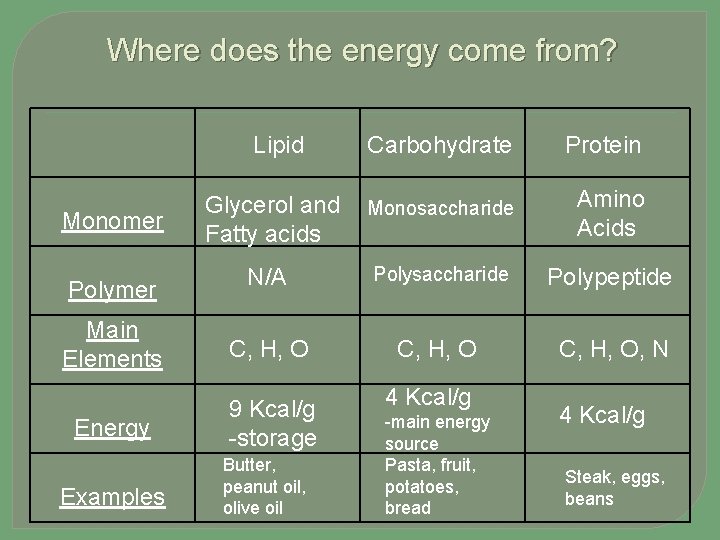 Where does the energy come from? Lipid Carbohydrate Protein Glycerol and Fatty acids Monosaccharide