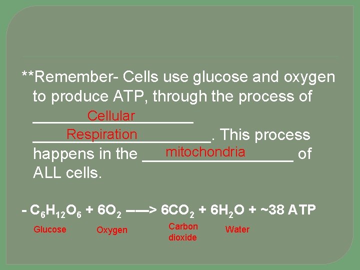 **Remember- Cells use glucose and oxygen to produce ATP, through the process of Cellular