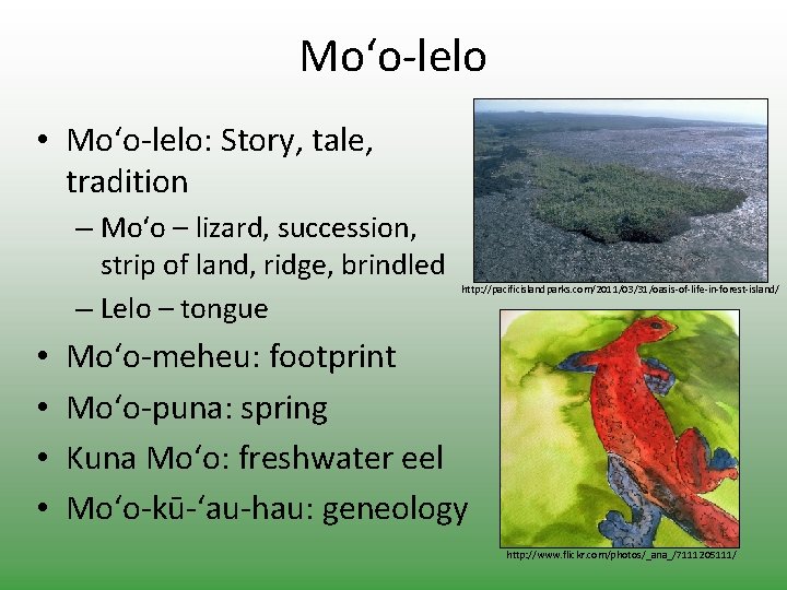 Mo‘o-lelo • Mo‘o-lelo: Story, tale, tradition – Mo‘o – lizard, succession, strip of land,