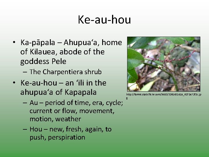 Ke-au-hou • Ka-pāpala – Ahupua‘a, home of Kilauea, abode of the goddess Pele –