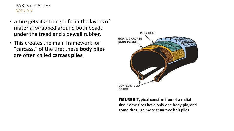 PARTS OF A TIRE BODY PLY • A tire gets its strength from the