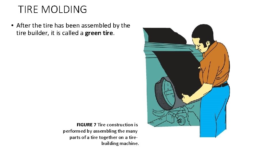TIRE MOLDING • After the tire has been assembled by the tire builder, it
