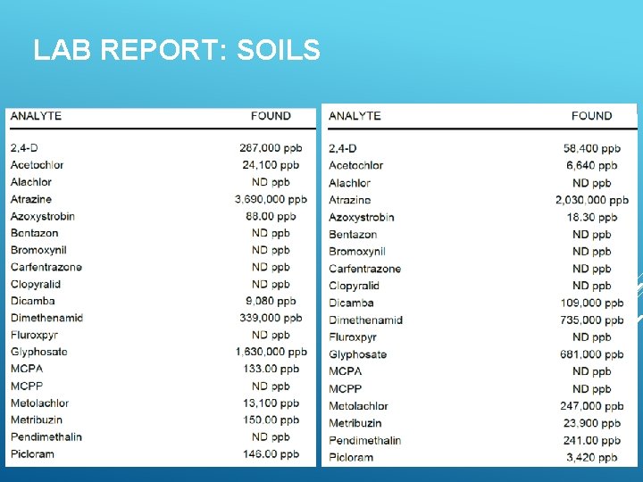 LAB REPORT: SOILS 