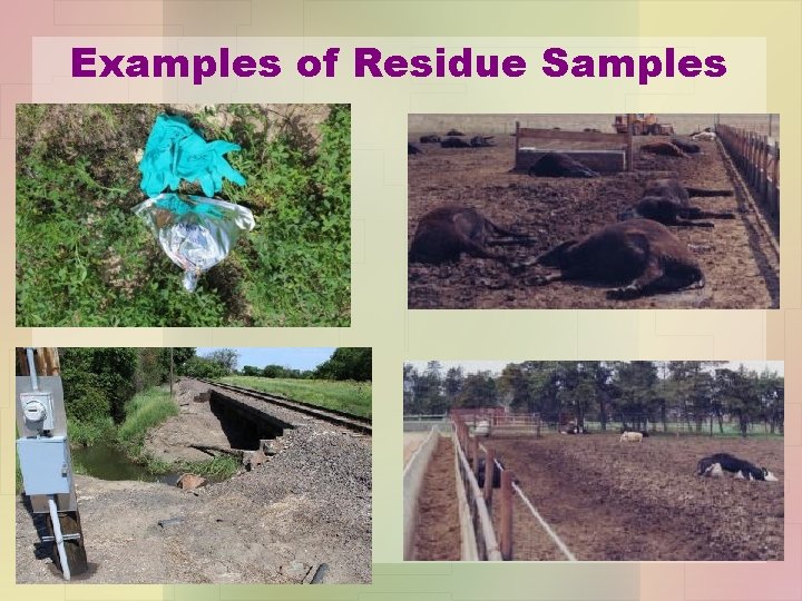 Examples of Residue Samples 