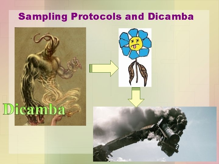 Sampling Protocols and Dicamba 