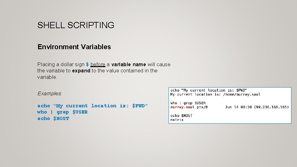 SHELL SCRIPTING Environment Variables Placing a dollar sign $ before a variable name will