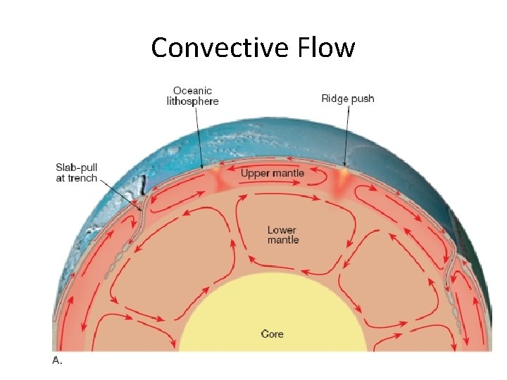 Convective Flow 