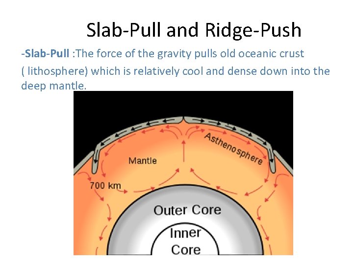 Slab-Pull and Ridge-Push -Slab-Pull : The force of the gravity pulls old oceanic crust