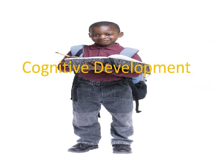 Cognitive Development 