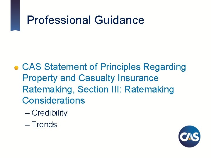 Professional Guidance CAS Statement of Principles Regarding Property and Casualty Insurance Ratemaking, Section III: