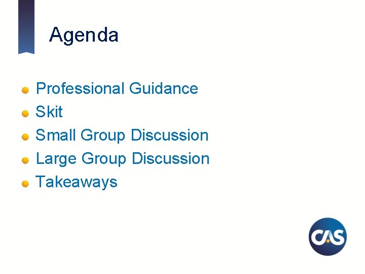 Agenda Professional Guidance Skit Small Group Discussion Large Group Discussion Takeaways 4 