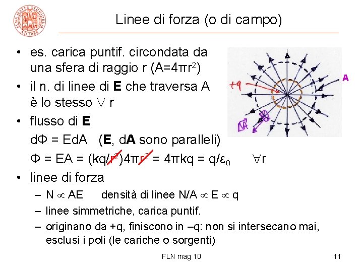 Linee di forza (o di campo) • es. carica puntif. circondata da una sfera