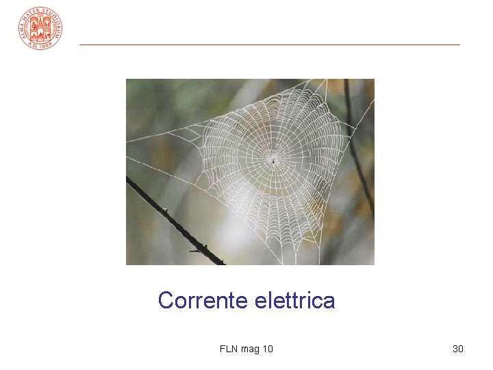 Corrente elettrica FLN mag 10 30 