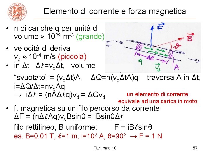 Elemento di corrente e forza magnetica • n di cariche q per unità di