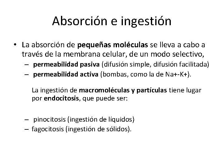 Absorción e ingestión • La absorción de pequeñas moléculas se lleva a cabo a