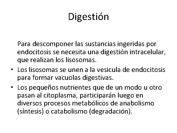 Digestión Para descomponer las sustancias ingeridas por endocitosis se necesita una digestión intracelular, que