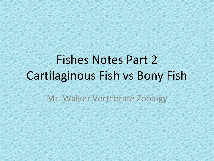 Fishes Notes Part 2 Cartilaginous Fish vs Bony Fish Mr. Walker Vertebrate Zoology 