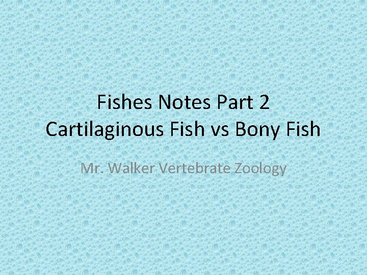 Fishes Notes Part 2 Cartilaginous Fish vs Bony Fish Mr. Walker Vertebrate Zoology 