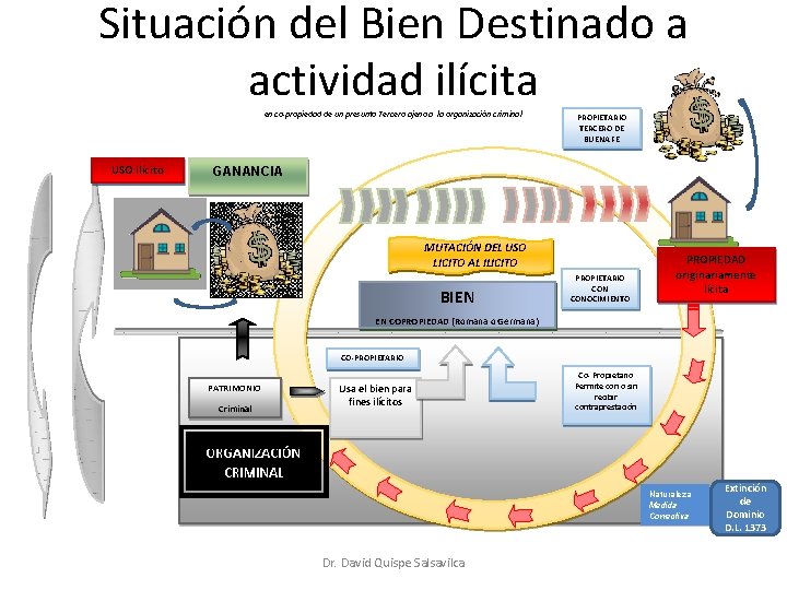 La Extincin de Dominio en el Per Naturaleza