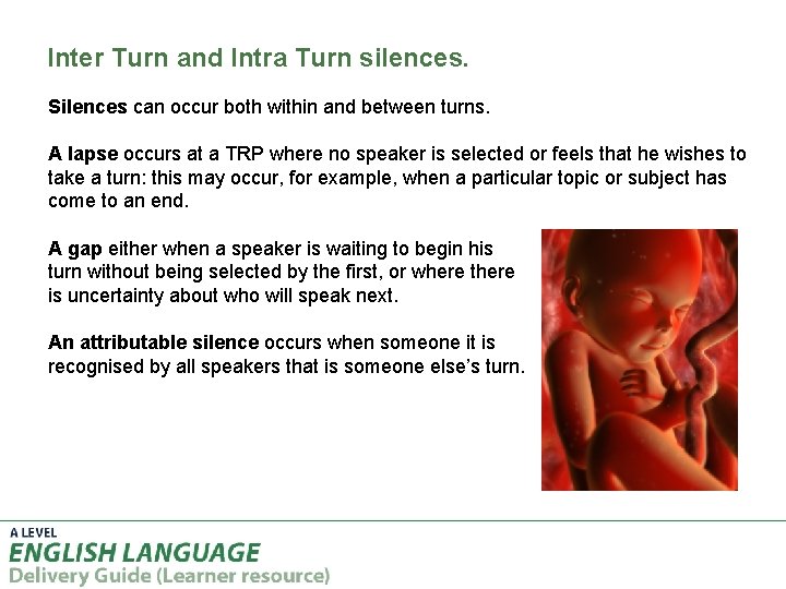 Inter Turn and Intra Turn silences. Silences can occur both within and between turns.