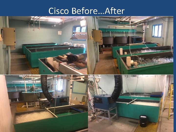 Cisco Before…After 