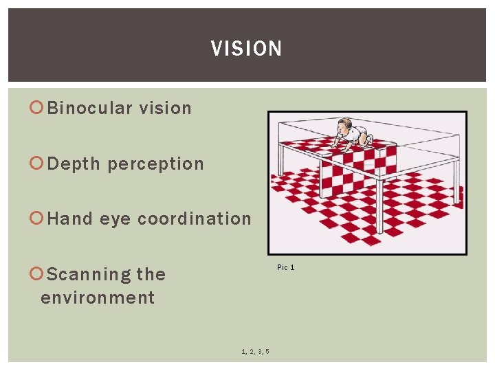 VISION Binocular vision Depth perception Hand eye coordination Pic 1 Scanning the environment 1,