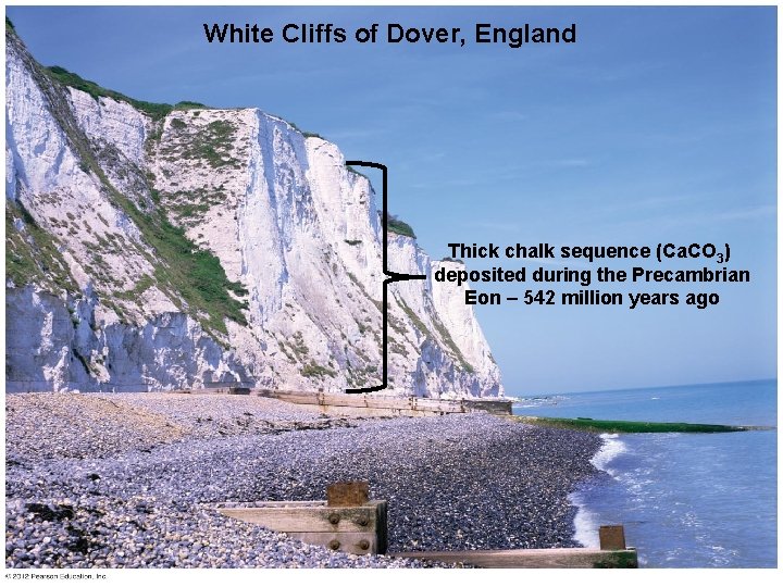 White Cliffs of Dover, England Thick chalk sequence (Ca. CO 3) deposited during the