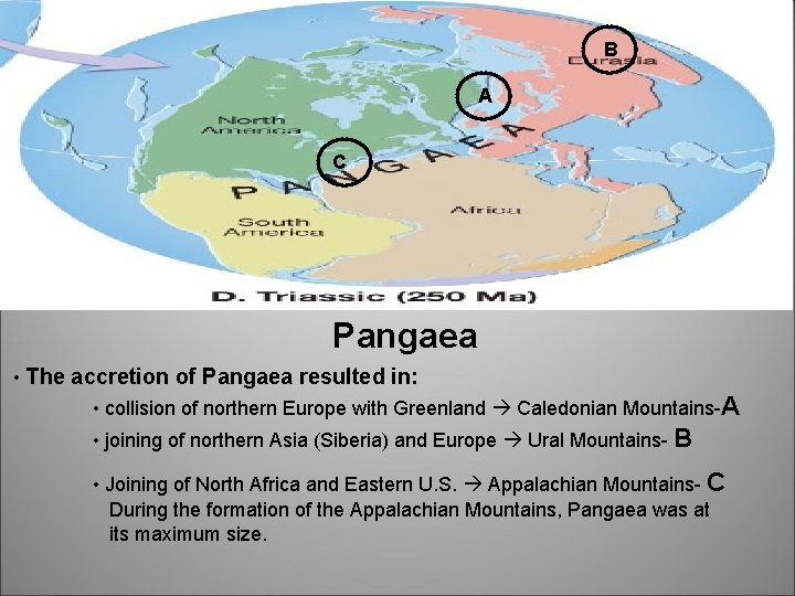 B A C Pangaea • The accretion of Pangaea resulted in: • collision of