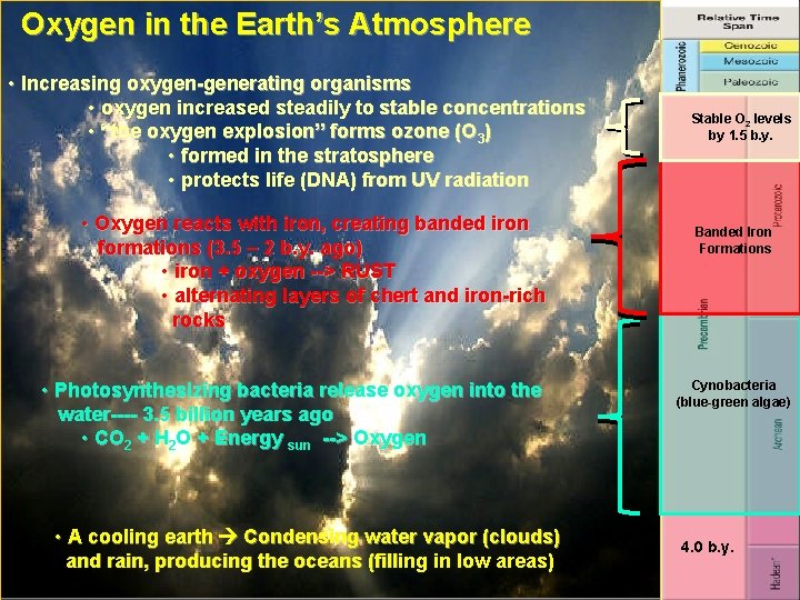 Oxygen in the Earth’s Atmosphere • Increasing oxygen-generating organisms • oxygen increased steadily to
