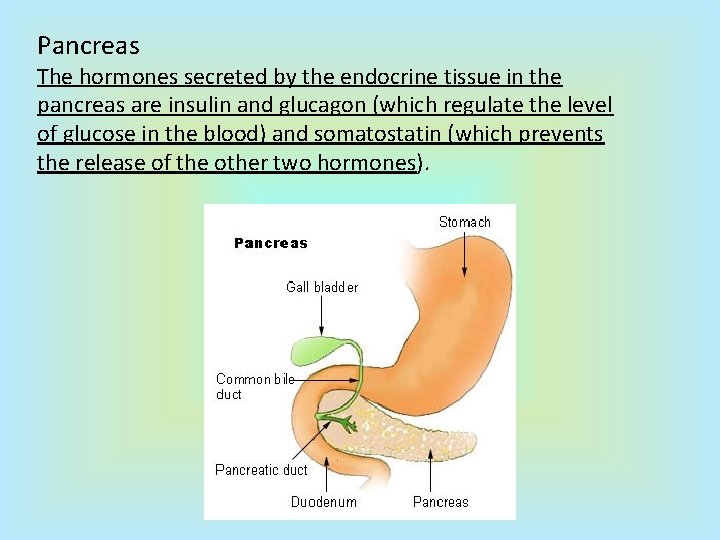 Pancreas The hormones secreted by the endocrine tissue in the pancreas are insulin and