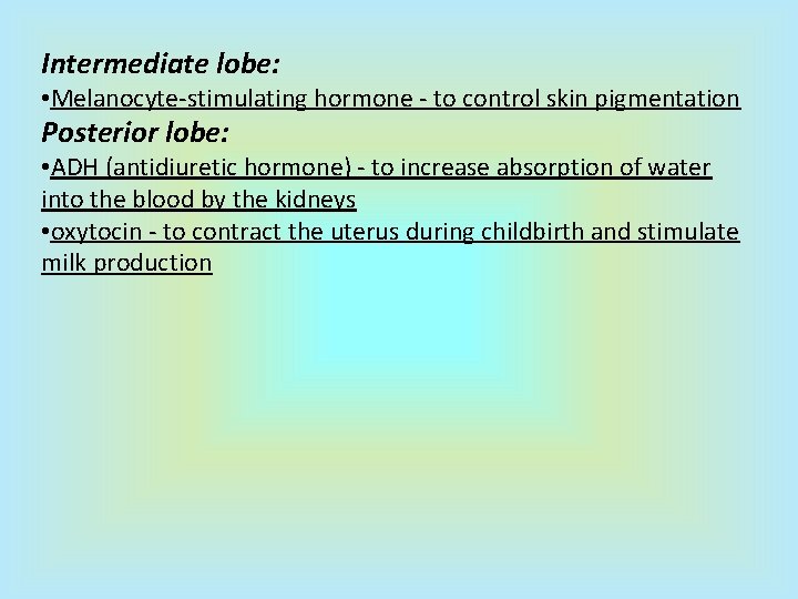 Intermediate lobe: • Melanocyte-stimulating hormone - to control skin pigmentation Posterior lobe: • ADH