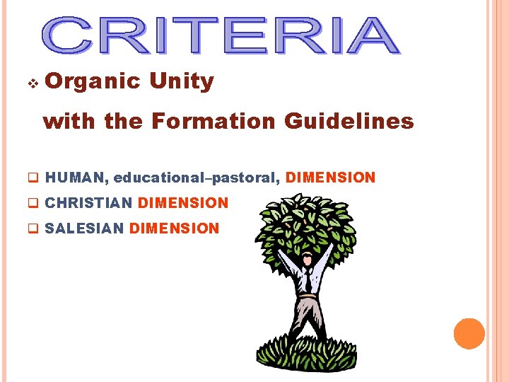 v Organic Unity with the Formation Guidelines q HUMAN, educational–pastoral, DIMENSION q CHRISTIAN DIMENSION v Organic Unity with the Formation Guidelines q HUMAN, educational–pastoral, DIMENSION q CHRISTIAN DIMENSION