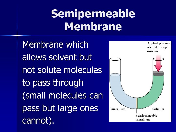 Semipermeable Membrane which allows solvent but not solute molecules to pass through (small molecules