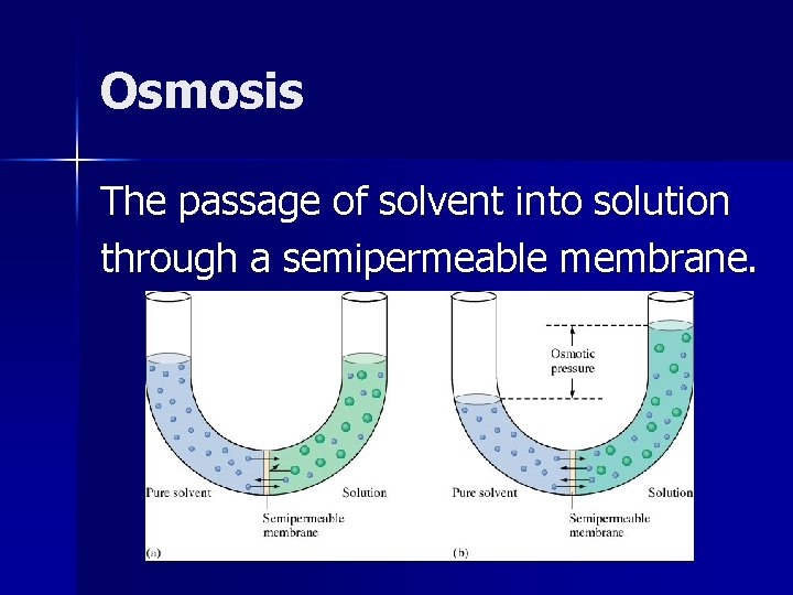 Osmosis The passage of solvent into solution through a semipermeable membrane. 