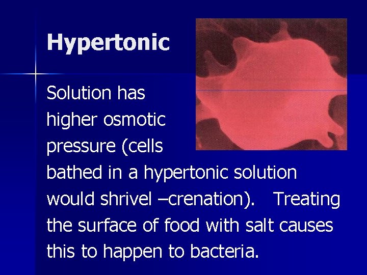 Hypertonic Solution has higher osmotic pressure (cells bathed in a hypertonic solution would shrivel