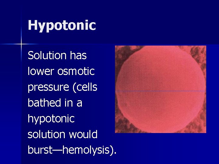 Hypotonic Solution has lower osmotic pressure (cells bathed in a hypotonic solution would burst—hemolysis).