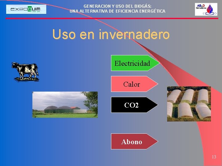 GENERACION Y USO DEL BIOGÁS: UNA ALTERNATIVA DE EFICIENCIA ENERGÉTICA Uso en invernadero Electricidad