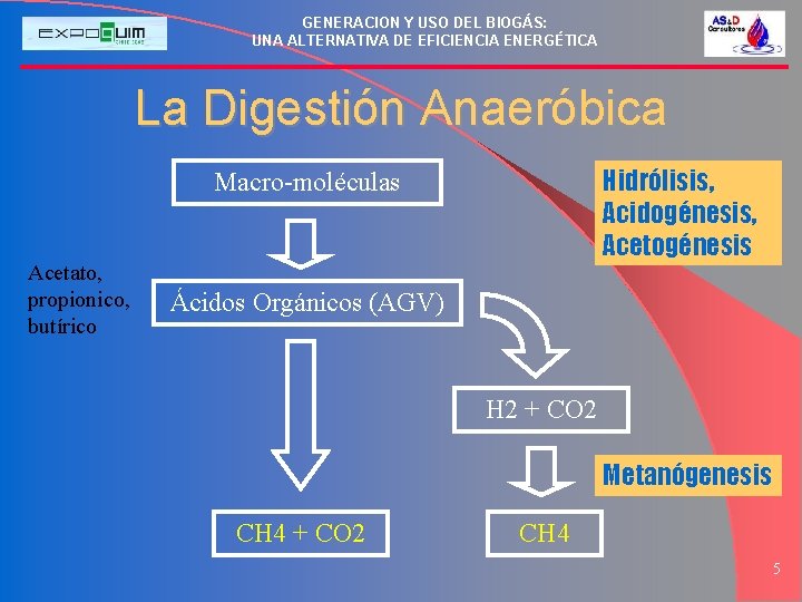 GENERACION Y USO DEL BIOGÁS: UNA ALTERNATIVA DE EFICIENCIA ENERGÉTICA La Digestión Anaeróbica Hidrólisis,