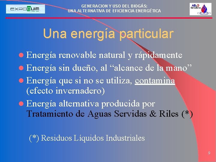 GENERACION Y USO DEL BIOGÁS: UNA ALTERNATIVA DE EFICIENCIA ENERGÉTICA Una energía particular l